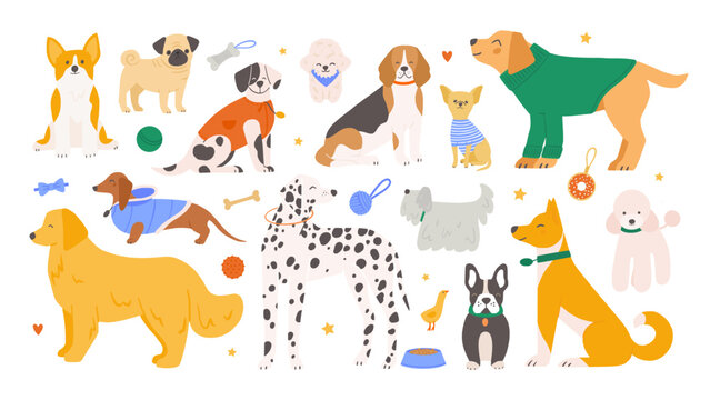 Set of various breeds of dogs and dog accessories. Hand drawn cartoon flat animals vector illustration.