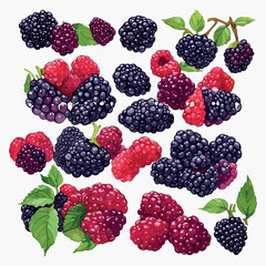 blackberry and raspberry