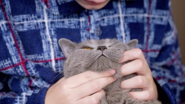 Close up, Child Hugging, Kisses, Stroking a Gray Fluffy Cat on Head with Hands. Loving boy in checkered pajamas kissing a cat on nose. Portrait of cat. Love, care, affection, friendship with pets.