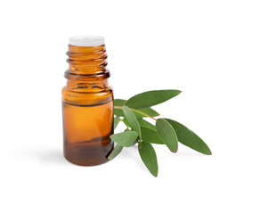 Bottle of eucalyptus essential oil and plant branch on white background