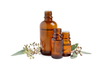 Bottles of eucalyptus essential oil and plant branches on white background