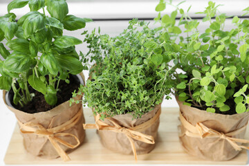 Different fresh potted herbs on windowsill indoors, closeup