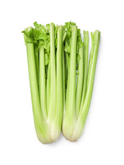Fresh green celery bunches isolated on white, top view