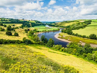 Fotobehang Geel Sharpham Meadows and Marsh over River Dart from a drone, Totnes, Devon, England