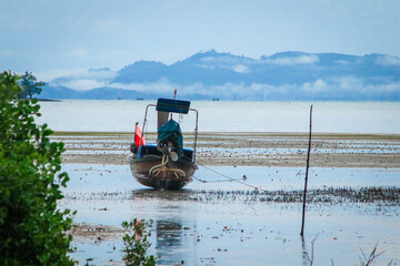 A long-tailed boat is moored at low tide, with green bushes in the foreground and background is mountains covered by mist in morning