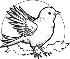 Fototapeta premium birds coloring pages vector animals