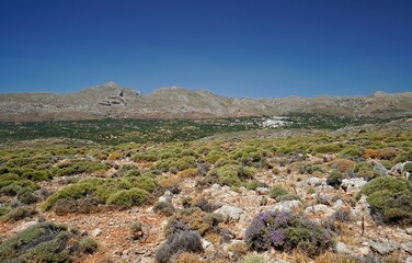 Zakros Village in Crete