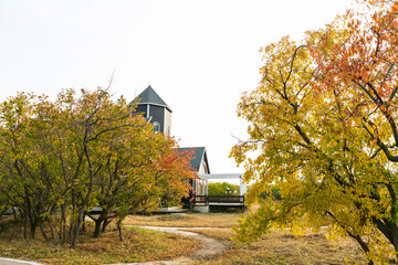 Wood villas in autumn