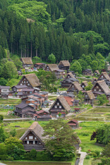 Fototapeta na wymiar idyllic landscape of historical village Shirakawa-go in Japan