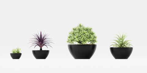 Collection Decorative plants in pots isolated on white background