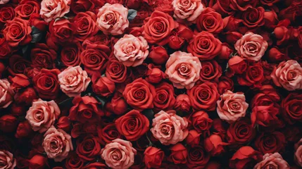 Fototapete Dämmerung Natural fresh red roses flowers pattern wallpaper. top view, Red rose flower wall background. 