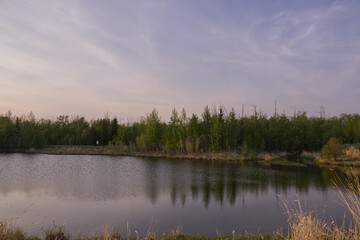An Evening at Pylypow Wetlands