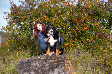 Young beautiful redhead woman posing, hugging her big Bernese Mountain dog on a rock with trees on the background in a sunny afternoon.