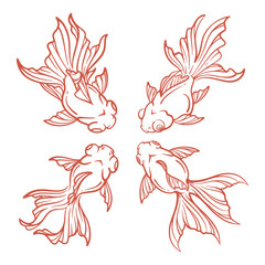 Set of hand drawn goldfish vector illustration. Goldfish line art collection