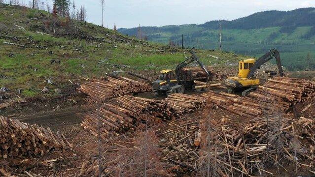 Log Forwarder in Action on Forest Road in BC,  Canada