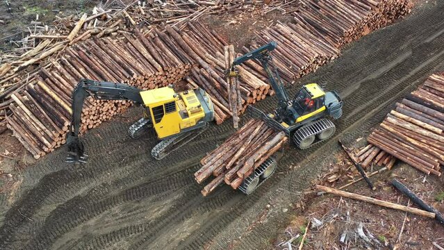 Logging Machinery: Aerial View of Forwarder Unloading Timber