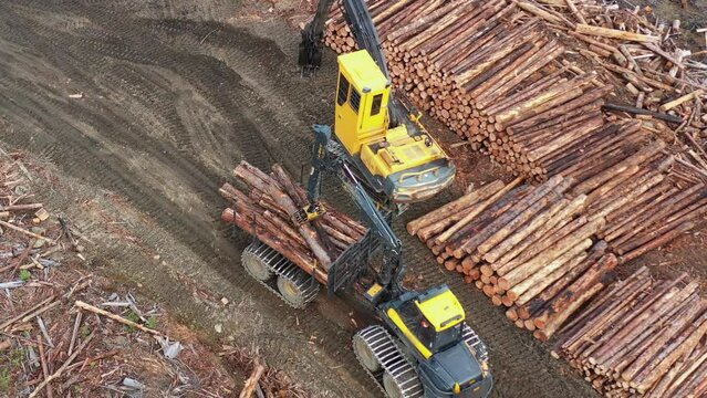 Drone Films Forwarder at Work in British Columbia