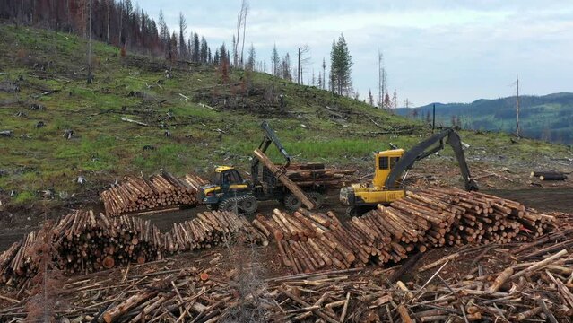 Overhead Shot of Forwarder Unloading Logs: Logging Industry at Work