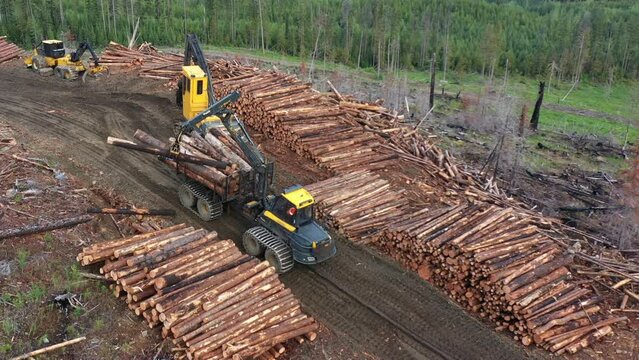 Drone Captures Forwarder Transferring Timber to Roadside Pile