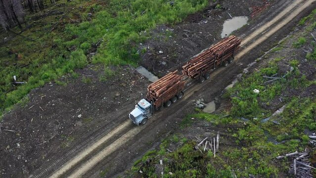 Drone Captures Logging Truck Transporting Timber from Forest in British Columbia
