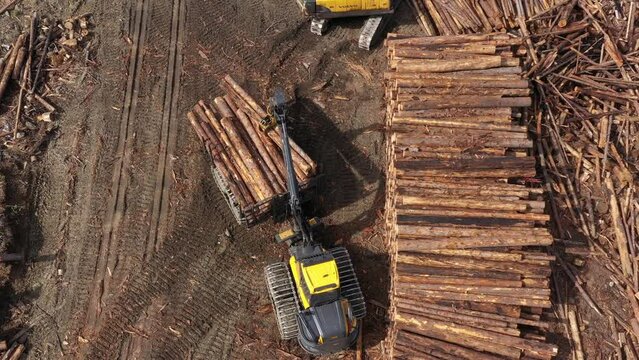 Drone View: Forwarder Unloading Timber at Roadside Stockpile