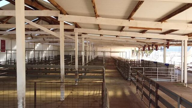 Empty cattle sale yard Outback Australia.