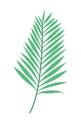 leaf tropical branch icon design