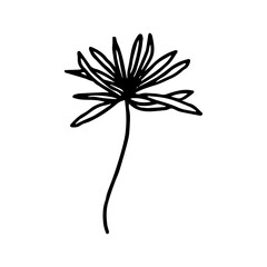 Boho hand draw flower with twig plant element