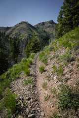 Fototapeta na wymiar Rocky bike Trail on edge of Rolling green hillsides in Ketchum Idaho in summer