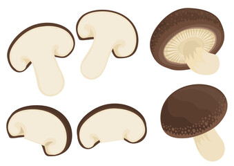しいたけ　カット　丸ごとセット※Affinity Designer作成svgファイル