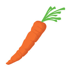 carrot fresh vegetable icon design