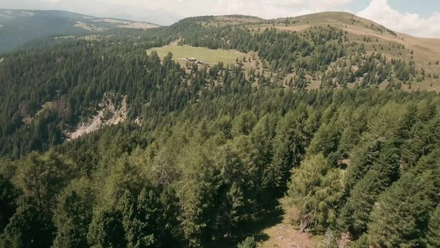 FPV drone captures stunning aerial views above spruce forest tree tops, unveiling a rustic wooden mountain hut amidst the scenic landscape near Luzen village, Italy. LuPa Creative