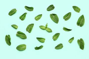 Composition with fresh mint leaves on color background