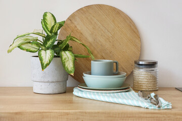 Clean dishes, houseplant, cutlery and jar on wooden counter