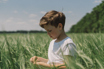 Portrait of a smiling boy in a white T-shirt and playing in a green barley field. Happy child boy laughing and playing in the summer day. Kid exploring nature. Summer activity for inquisitive children