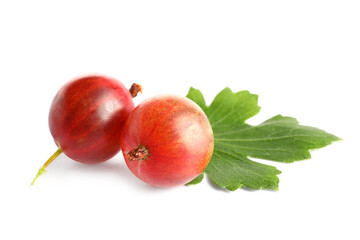 Fresh gooseberries and leaf on white background