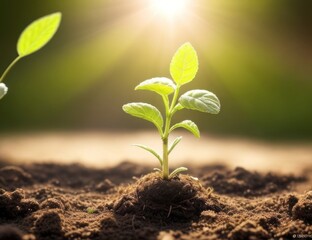 a tree growing on the ground with a fair light background.generative AI