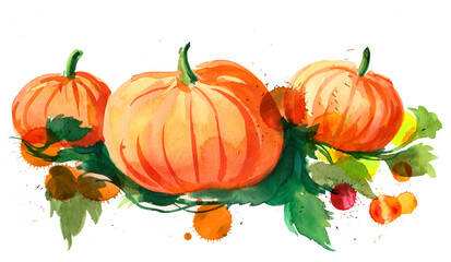 Three pumpkins. Hand-drawn ink and watercolor on paper