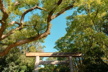 Foto op Plexiglas Atsuta Shrine Torii gate with green forest in Nagoya, Japan © Sanga