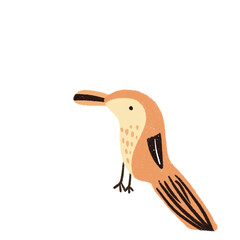 Hand drawn Animal Illustration