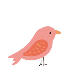 Hand drawn Animal Illustration