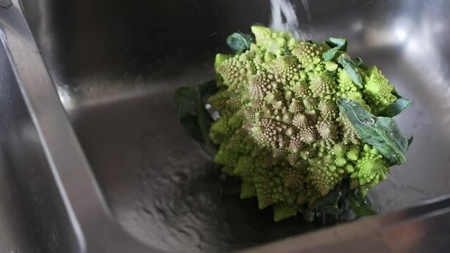 Romanesco broccoli washing with water in sink.