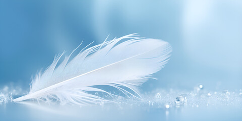 Soft Pastel Blue Background with a White Feather" "Glimmering Light Effects and Nature-Inspired Feather on Blue Background"