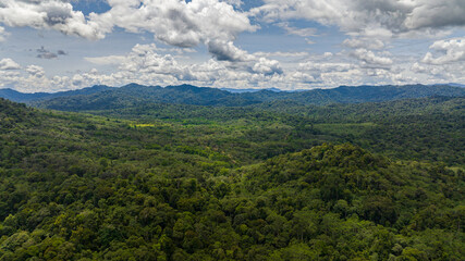 Aerial view of rainforests on the island of Borneo. Jungle in the tropics. Malaysia.