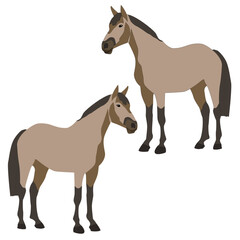 Vector beige brown bay horse flat with shadows stands isolated on white background