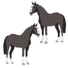 Obraz premium Vector black horse flat with shadows stands isolated on white background