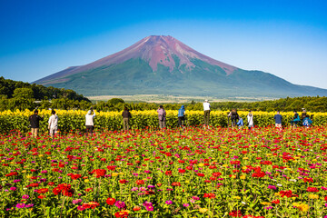 花の都公園から富士山とカメラマン