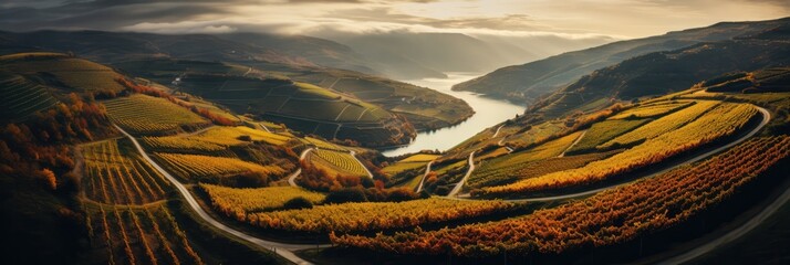 Aerial View Of Vineyards During Autumn. Aerial View, Vineyards, Autumn, Leaves, Harvest, Climate, Sunlight, Soil