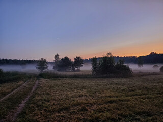 Edge of the forest. The sun is setting. The fog is rising. Lithuania