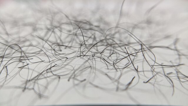 Selective focus of pubic hair isolated on white background. Black pubic hair that is removed manually without using a trimmer. Hair roots attached to the base. Removal of hair with intimate haircut.